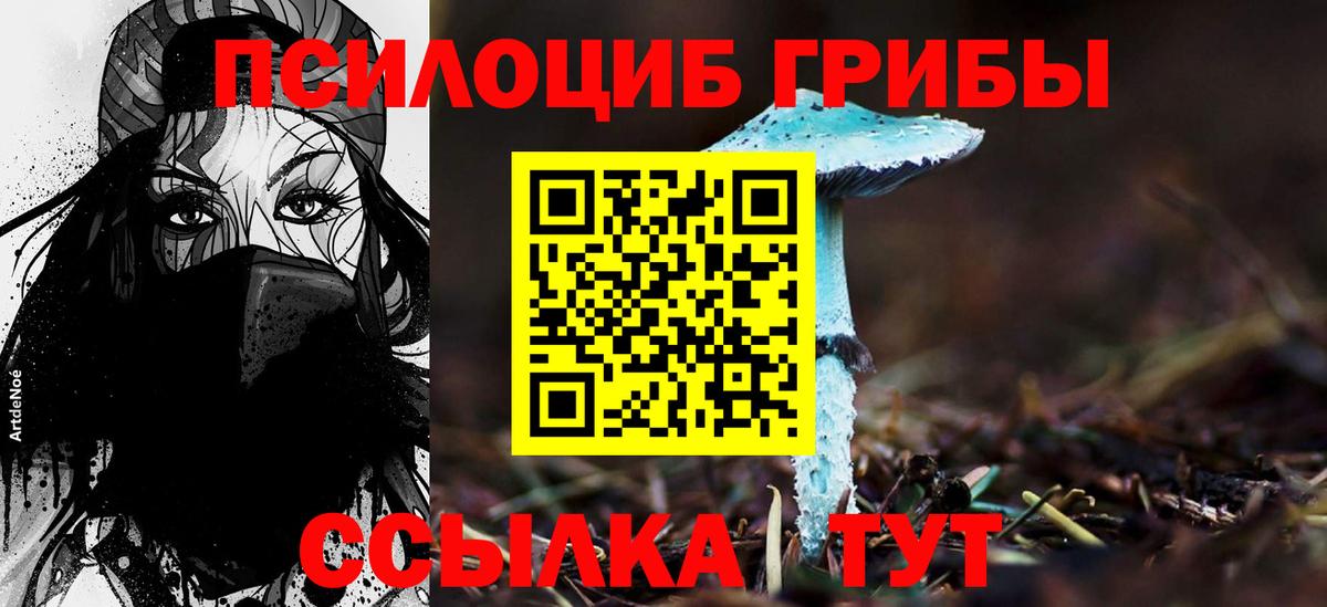 Кулебаки  Галлюциногенные грибы MAGIC MUSHROOMS  Псилоцибиновые грибы Magic Shrooms  Вход с VPN 