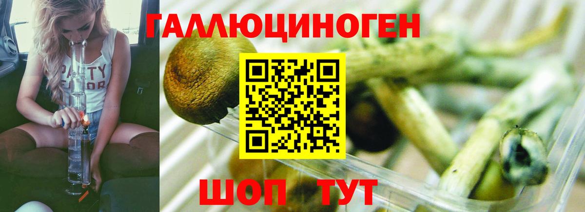 Галлюциногенные грибы мухоморы Кулебаки